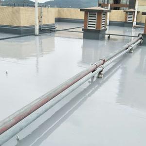 Roof Waterproofing