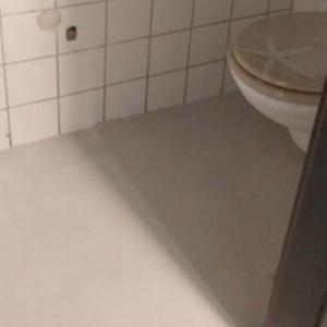 Toilet Waterproof