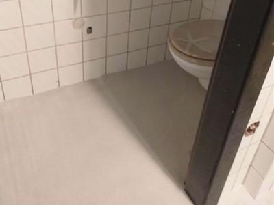 Toilet Waterproof