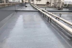 Concrete Roofing Coating Systems.jpg