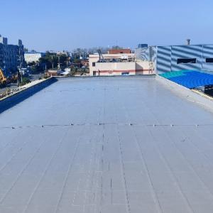 Hand-applied thick film aliphatic polyurea waterproof coating