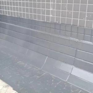 Single Component Polyurea Waterproof  Coating