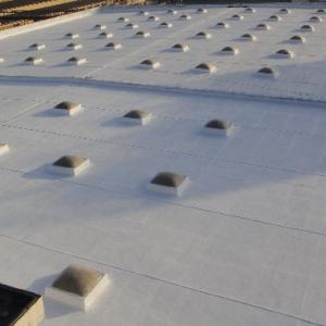 Single component aliphatic polyurea waterproof  and anti-corrosion protective coating 