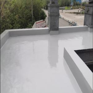 Single component polyurea waterproof  anticorrosion protective coating 