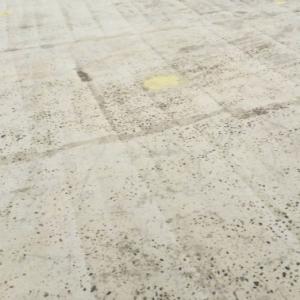 Solvent-Free Epoxy Prime