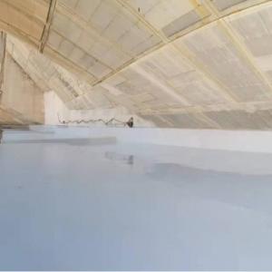 one-component modified polyurea waterproof  anticorrosion protective coating 